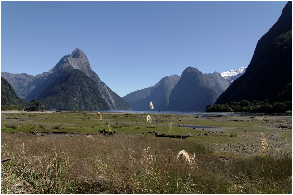 05 - Milford Sound (20).jpg